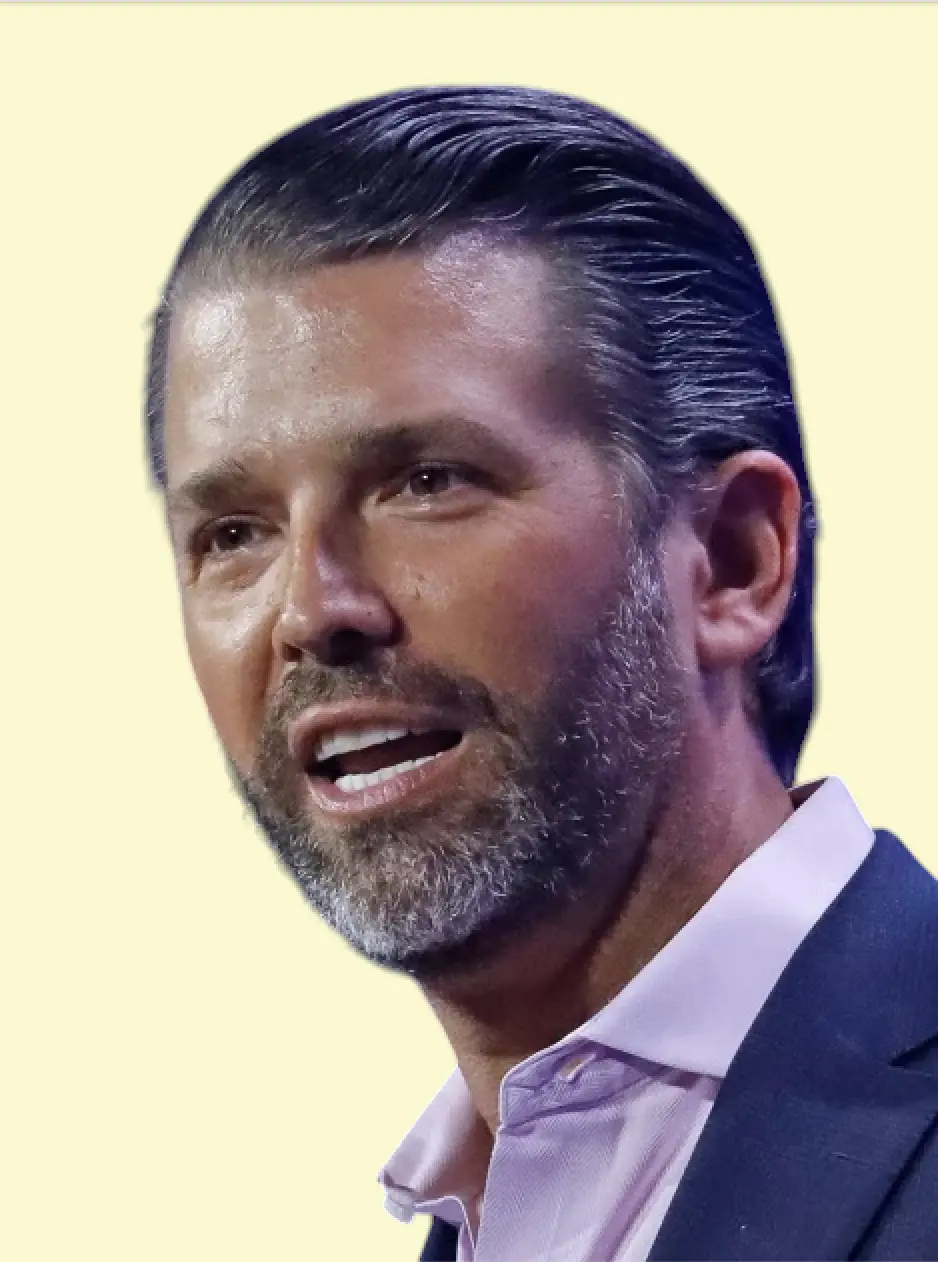 Trump Junior Meme